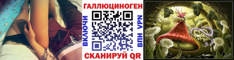 Галлюциногенные грибы Psilocybe  Удомля 