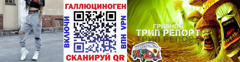 Галлюциногенные грибы Magic Shrooms Удомля